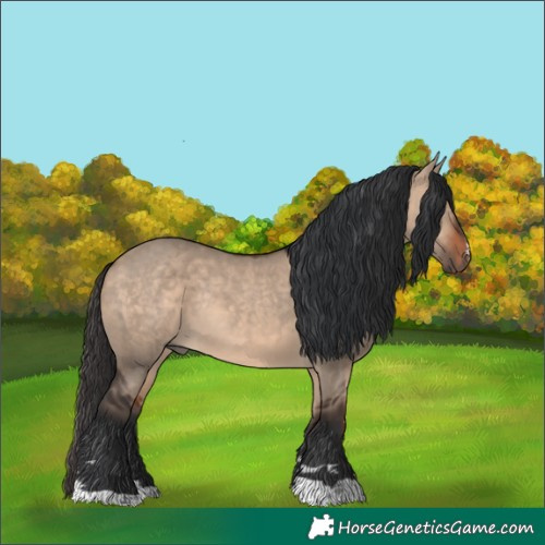 Horse Color:Bay Dun Rabicano 