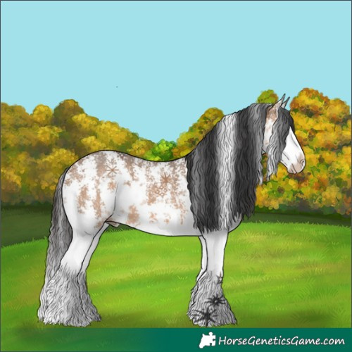 Horse Color:Brown Dun Sabino Splash 
