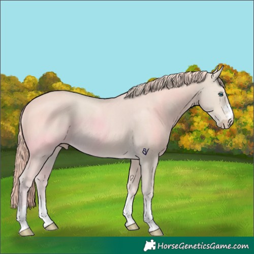 Horse Color:Smoky Creme 