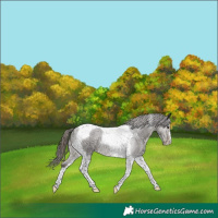Horse Color:Smoky Grullo Tobiano Varnish 