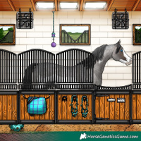 Horse Color:Brown Roan Dun Frame Rabicano 