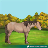 Horse Color:Amber Champagne 