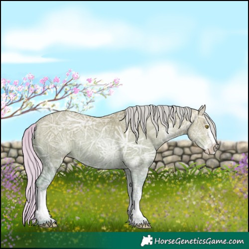 Horse Color:Watercolor Silver Sable Champagne Ice Dun Sabino