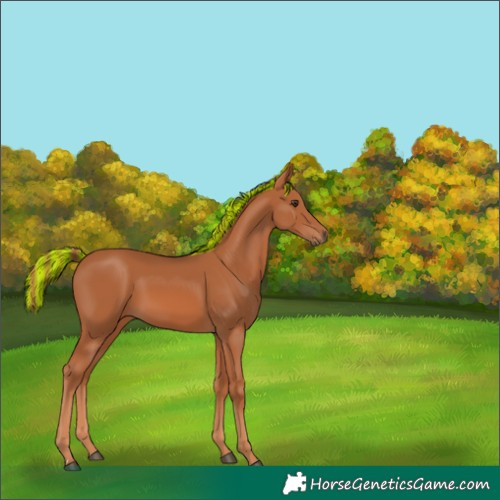 Horse Color:Painted Chestnut 