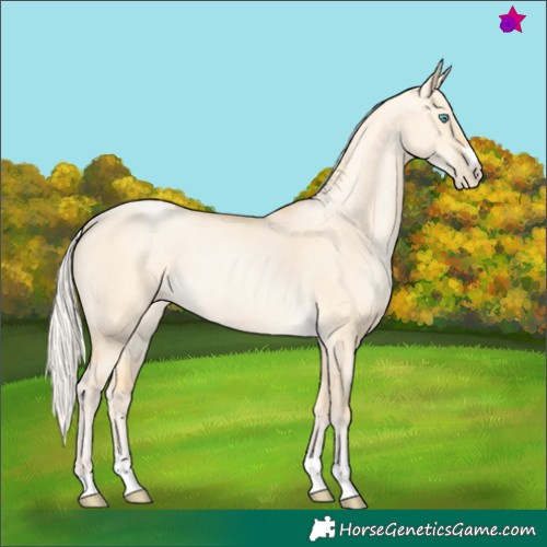 Horse Color:Silver Buckskin Pearl Dun 