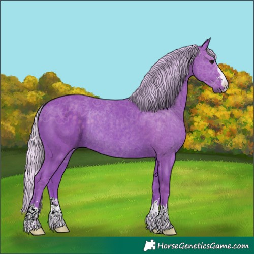 Horse Color:Watercolor Silver Black Rabicano 