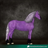 Horse Color:Void Watercolor Silver Black Rabicano