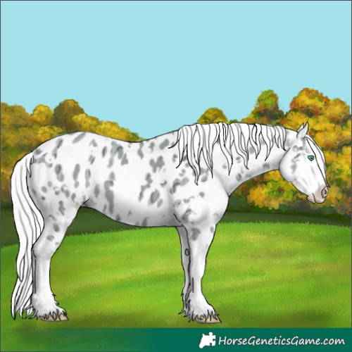 Horse Color:Watercolor White Spotted Silver Amber Champagne Ice Splash Near Leopard 