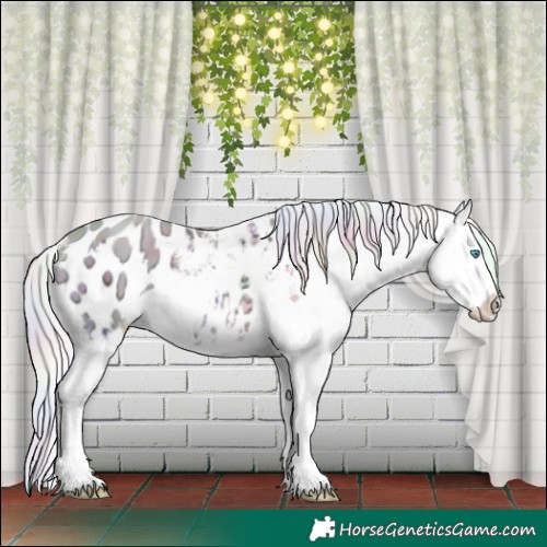 Horse Color:Nacre White Spotted Silver Sable Champagne Ice Snowdrop Pearl Dun Appaloosa 