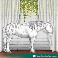 Horse Color:Nacre White Spotted Silver Sable Champagne Ice Snowdrop Pearl Dun Appaloosa