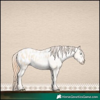 Horse Color:Classic Cream Champagne Pearl Blanket