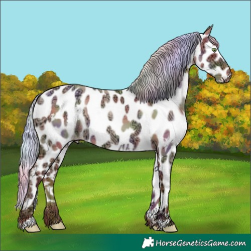 Horse Color:Nacre White Spotted Silver Sable Champagne Ice Dun Appaloosa 