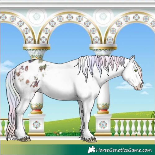 Horse Color:Nacre White Spotted Silver Classic Champagne Ice Dun Varnish 