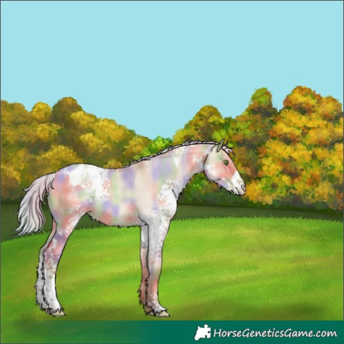 Horse Color:Nacre White Spotted Silver Classic Champagne Dun Appaloosa 