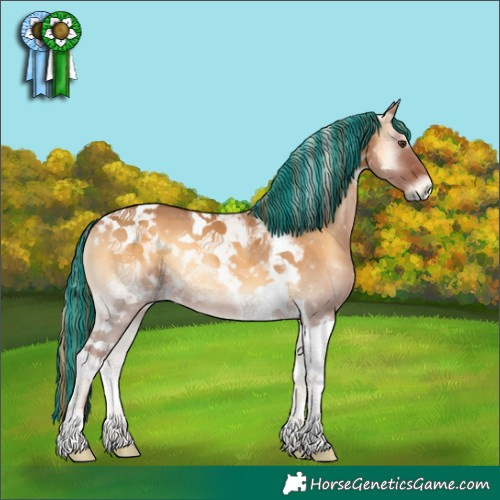 Horse Color:Painted Red Dun Onyx Tobiano 