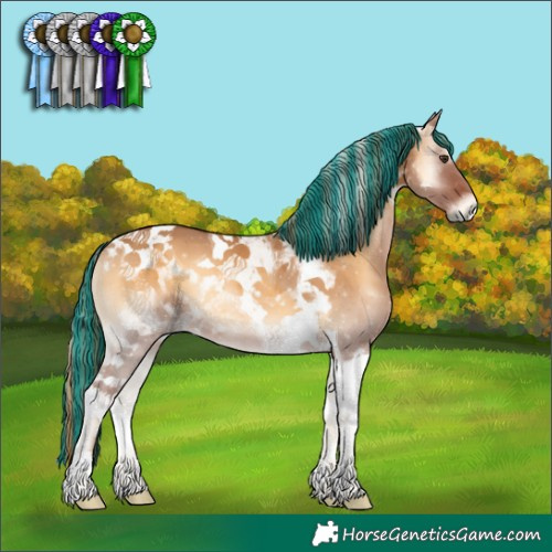 Horse Color:Painted Red Dun Onyx Tobiano 