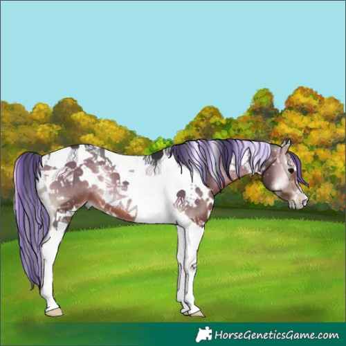 Horse Color:Painted White Spotted Bay Onyx Tobiano 