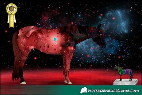 Horse Color:ERROR: UNKNOWN ANOMALY