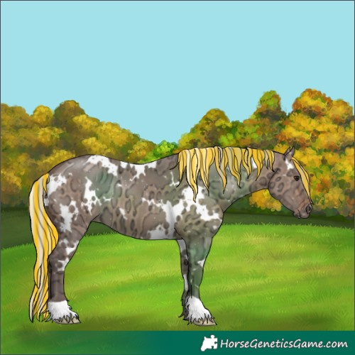 Horse Color:Painted White Spotted Silver Brown Ice Dun 