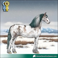 Horse Color:Watercolor Bay Ice Onyx Sabino Tobiano Rabicano