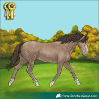 Horse Color:Classic Champagne