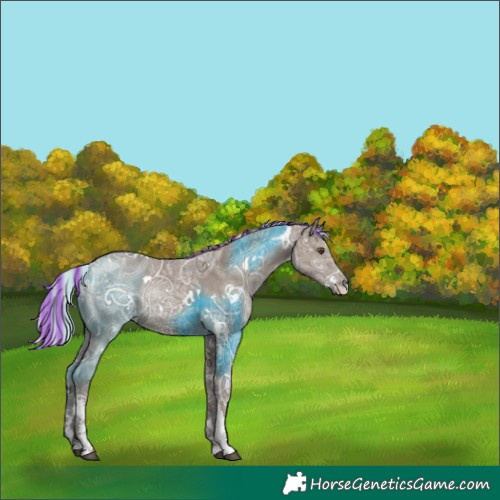 Horse Color:Painted White Spotted Silver Grullo Ice Sabino Rabicano 