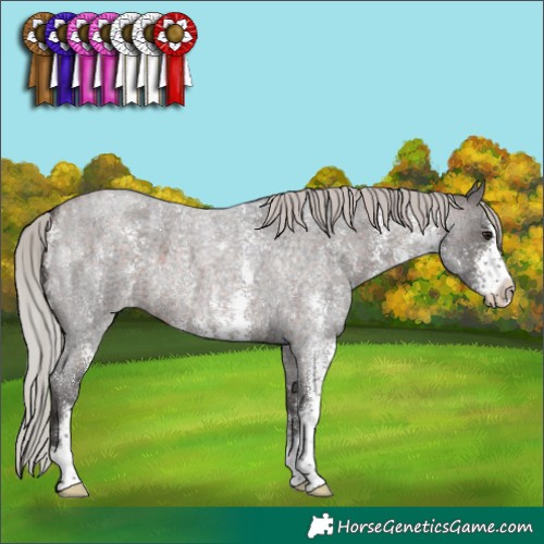Horse Color:Silver Brown Roan Sabino 