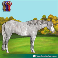 Horse Color:Silver Brown Roan Sabino 