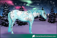 Horse Color:Painted Thunderstruck Midnight Silver Blue Roan Sabino Near Leopard Rabicano