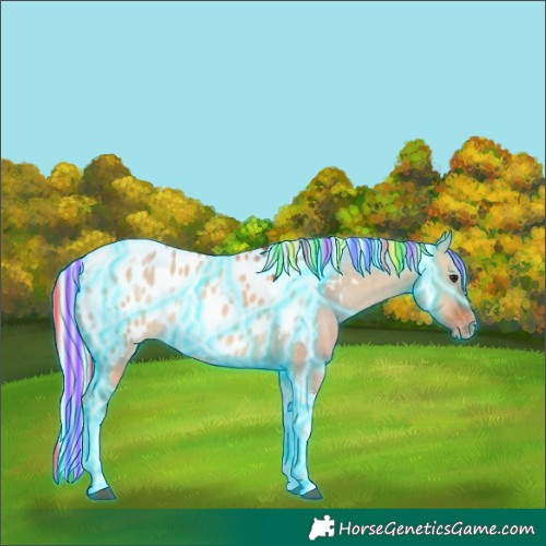 Horse Color:Painted Thunderstruck Silver Bay Dun Tobiano Appaloosa Rabicano 