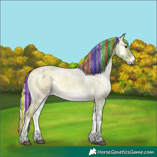 Horse Color:Painted Watercolor White Spotted Silver Bay Roan Onyx 
