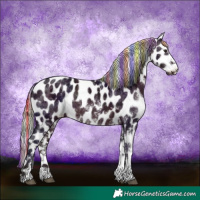 Horse Color:Painted Nacre White Spotted Midnight Silver Brown Appaloosa Rabicano 