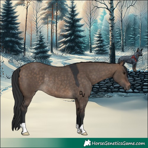 Horse Color:Brown Dun Rabicano 
