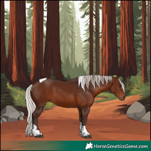 Horse Color:Silver Brown Tobiano 
