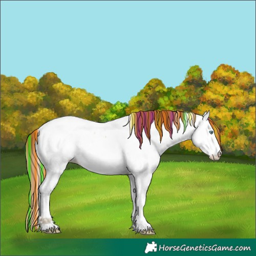 Horse Color:Painted White Spotted Gold Champagne Ice Dun Tobiano Near Fewspot Rabicano 