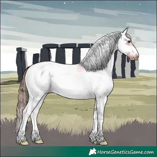 Horse Color:White Spotted Chestnut Splash Frame Appaloosa