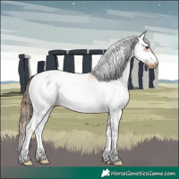 Horse Color:White Spotted Chestnut Splash Frame Blanket 