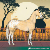 Horse Color:Palomino Splash Blanket