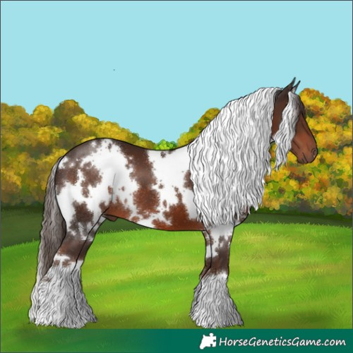 Horse Color:White Spotted Liver Chestnut 