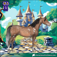 Horse Color:White Spotted Sable Champagne Tobiano