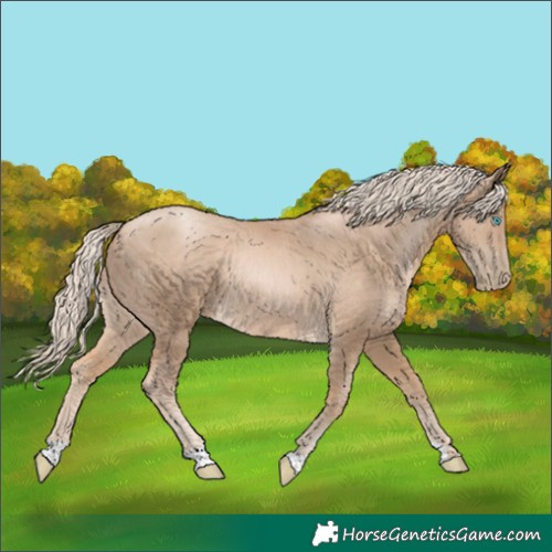 Horse Color:Chocolate Palomino Pearl 