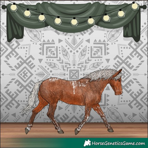 Horse Color:Silver Bay Tobiano Varnish  and Silver Bay Varnish 