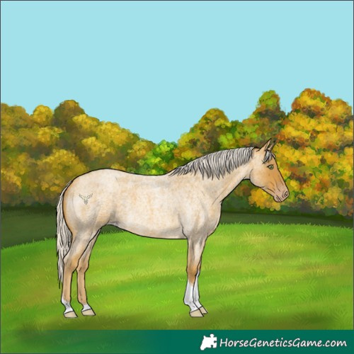 Horse Color:Silver Sable Cream Champagne Roan Tobiano 
