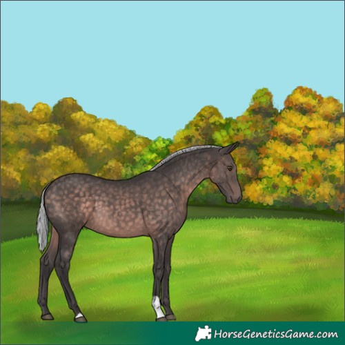 Horse Color:Platinum Silver Brown 