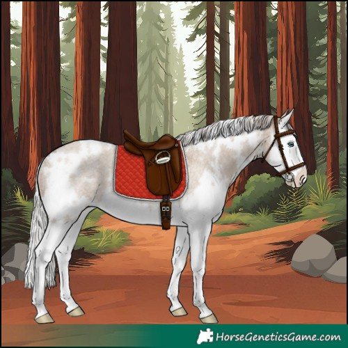 Horse Color:White Spotted Silver Brown Roan Dun Splash Rabicano 