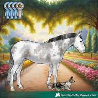 Horse Color:White Spotted Brown Roan Splash Rabicano 