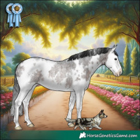 Horse Color:White Spotted Brown Roan Splash Rabicano 
