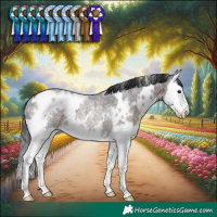 Horse Color:White Spotted Brown Roan Splash Rabicano