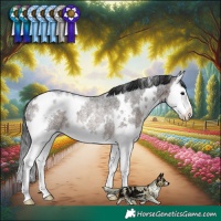 Horse Color:White Spotted Brown Roan Splash Rabicano 