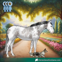 Horse Color:White Spotted Brown Roan Splash Rabicano